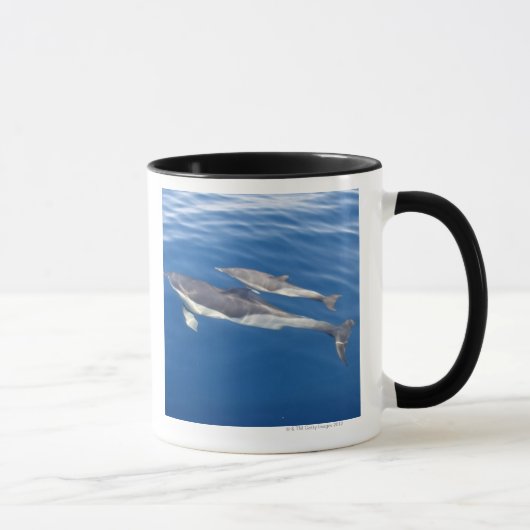 海峡のマイルカ マグカップ (右)