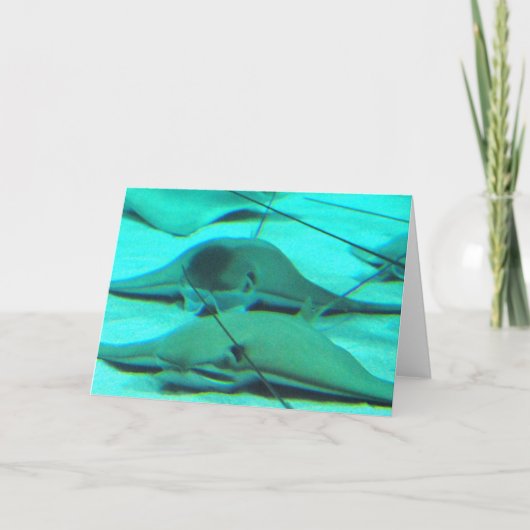 海底の挨拶状のアカエイ カード (正面)