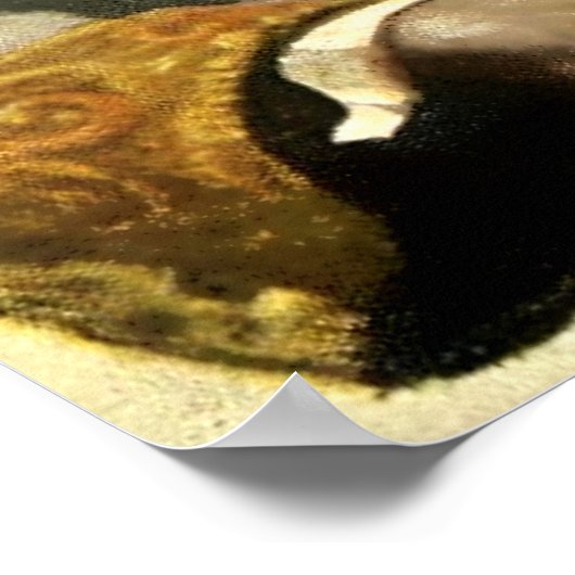 「海底二万里」のネモ船長(ナウティラスの) by NC ワイエス ポスター (角)