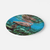 海底熱帯ウミガメ ペーパープレート (アングル)