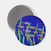 海底磁石 マグネット (正面/裏面)