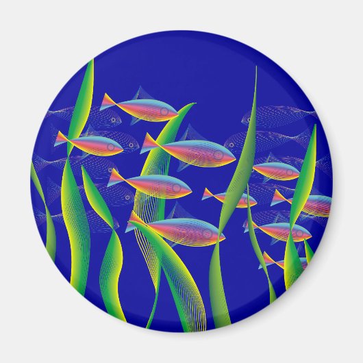 海底磁石 マグネット (正面)