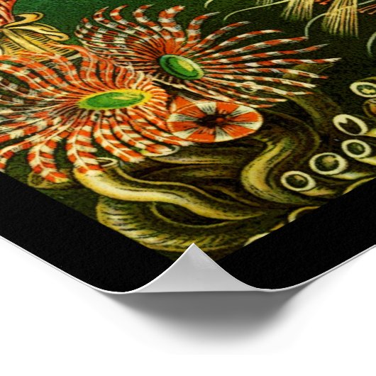 海底色 ポスター (角)