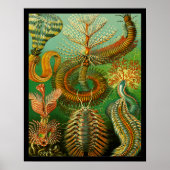 海底色 ポスター (正面)