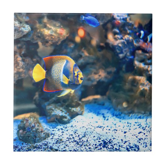 海底鮮やかな熱帯魚の珊瑚 タイル (正面)