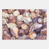 海愛好家のための包装紙! ラッピングペーパーシート (正面3)