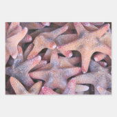 海愛好家のための包装紙! ラッピングペーパーシート (正面2)