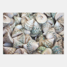 海愛好家のための包装紙! ラッピングペーパーシート