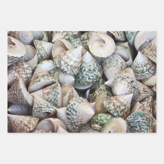 海愛好家のための包装紙! ラッピングペーパーシート (正面)