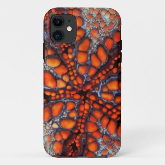 海星|Cambodiaの裏側 Case-Mate iPhoneケース (裏面)