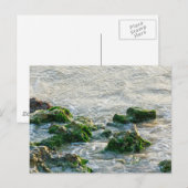海景色 ポストカード (正面/裏面)