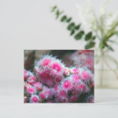 海植物 ポストカード (スタンド正面)