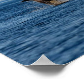 海水からのキラーホエールブリーチング ポスター (角)