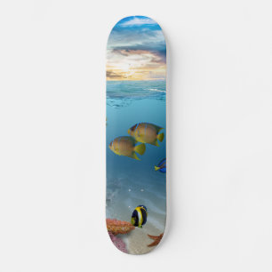 海水中コーラルリーフ熱帯魚 スケートボード