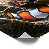 海水中コーラルリーフ熱帯魚 ポスター (角)