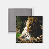 海水浴ヒョウ マグネット (正面/裏面)