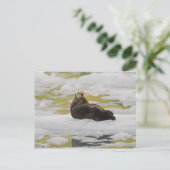 海水浴場は小さな氷山の上にある ポストカード (スタンド正面)