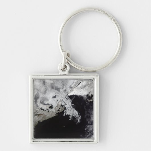 海氷はセントローレンス湾に満ちている キーホルダー (正面)