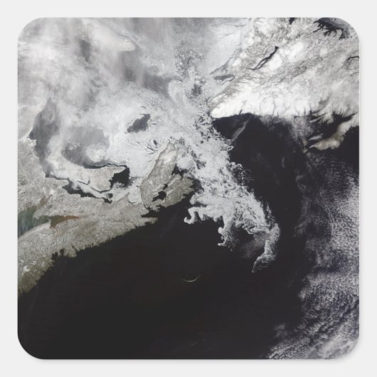 海氷はセントローレンス湾に満ちている スクエアシール (正面)