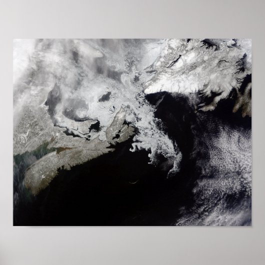海氷はセントローレンス湾に満ちている ポスター (正面)