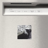 海氷はセントローレンス湾に満ちている マグネット (インサイチュ (食洗機))