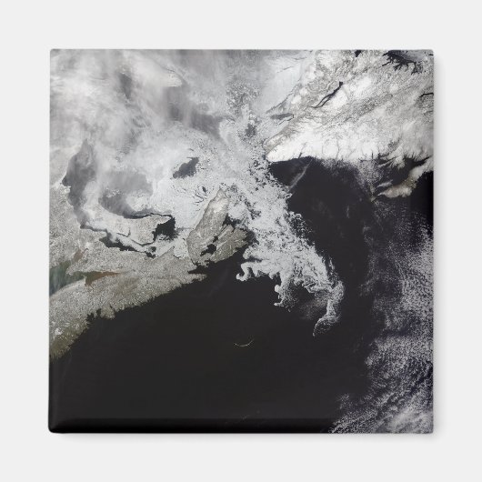 海氷はセントローレンス湾に満ちている マグネット (正面)