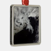 海氷はセントローレンス湾に満ちている メタルオーナメント (右)