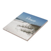 海泡セラミックタイル タイル (側面)