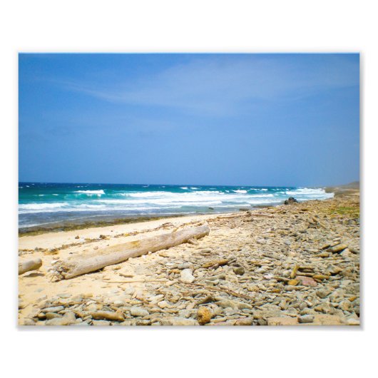 海波ビーチ流木,デコカリブのア フォトプリント (正面)