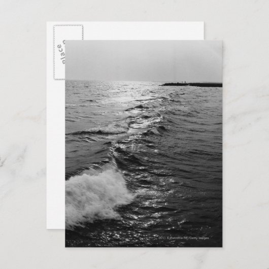 海波 ポストカード (正面/裏面)