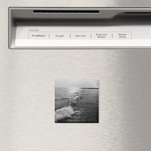 海波 マグネット (インサイチュ (食洗機))