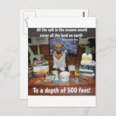 海洋における犬の食塩 ポストカード (正面/裏面)