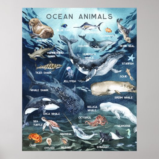 海洋の動物 | 教育学習教室 ポスター (正面)