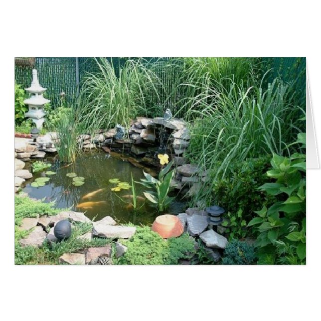 海洋の池 (正面横)