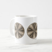 海洋の珪藻植物 コーヒーマグカップ (正面左)