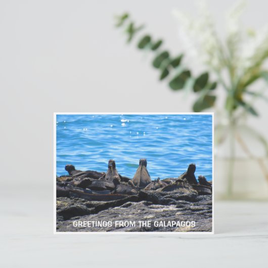 海洋イグアナの挨拶 ポストカード (スタンド正面)