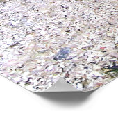 海洋イグアナ山 ポスター (角)