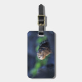 海洋イグアナ諸島 ラゲッジタグ (正面縦)