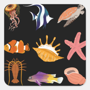 海洋動物:魚、亀、貝殻、クラゲ、 スクエアシール