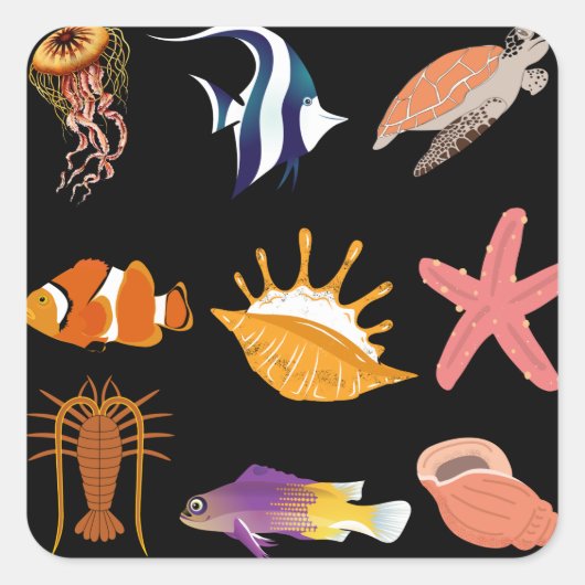 海洋動物：魚、亀、貝殻、クラゲ、 スクエアシール (正面)