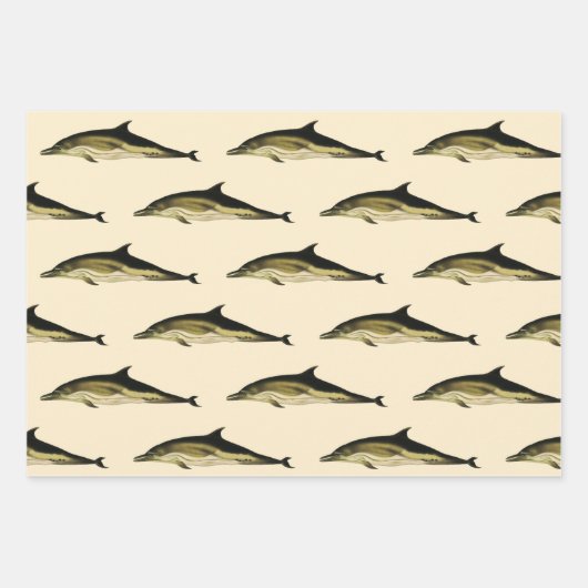 海洋哺乳類ドルフィンデルフィナスヴィンテージ ラッピングペーパーシート (正面)