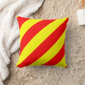 海洋国旗Y – ヤンキー クッション (ブランケット)