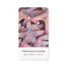 海洋性海星ヒトデ旅行代理店の専門家