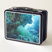 海洋水中紅海コーラルリーフスイミングフィッシュ メタルランチボックス (裏面)