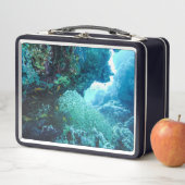 海洋水中紅海コーラルリーフスイミングフィッシュ メタルランチボックス (インサイチュ)