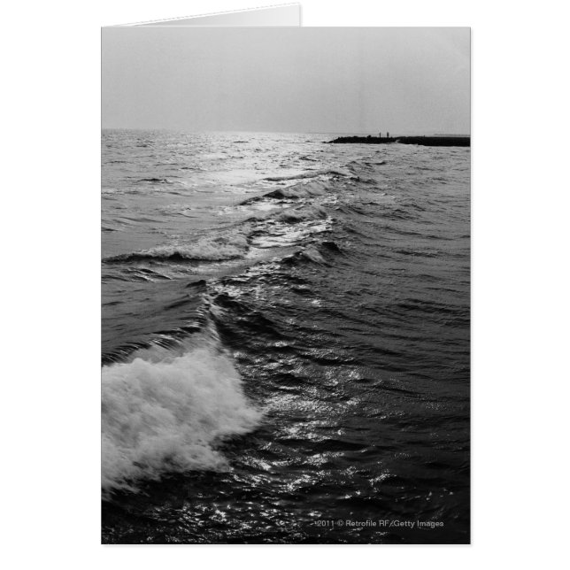 海洋波 (正面)