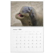 海洋生命カレンダー カレンダー (1月 2026)