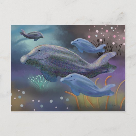 海洋生息地 ポストカード (正面)