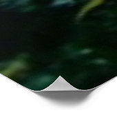 海洋生物のポスター ポスター (角)