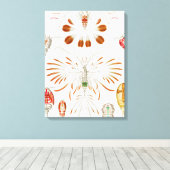 海洋生物の甲殻類、Copepoda by Ernst Haeckel キャンバスプリント (インサイチュ (ウッドフロア))